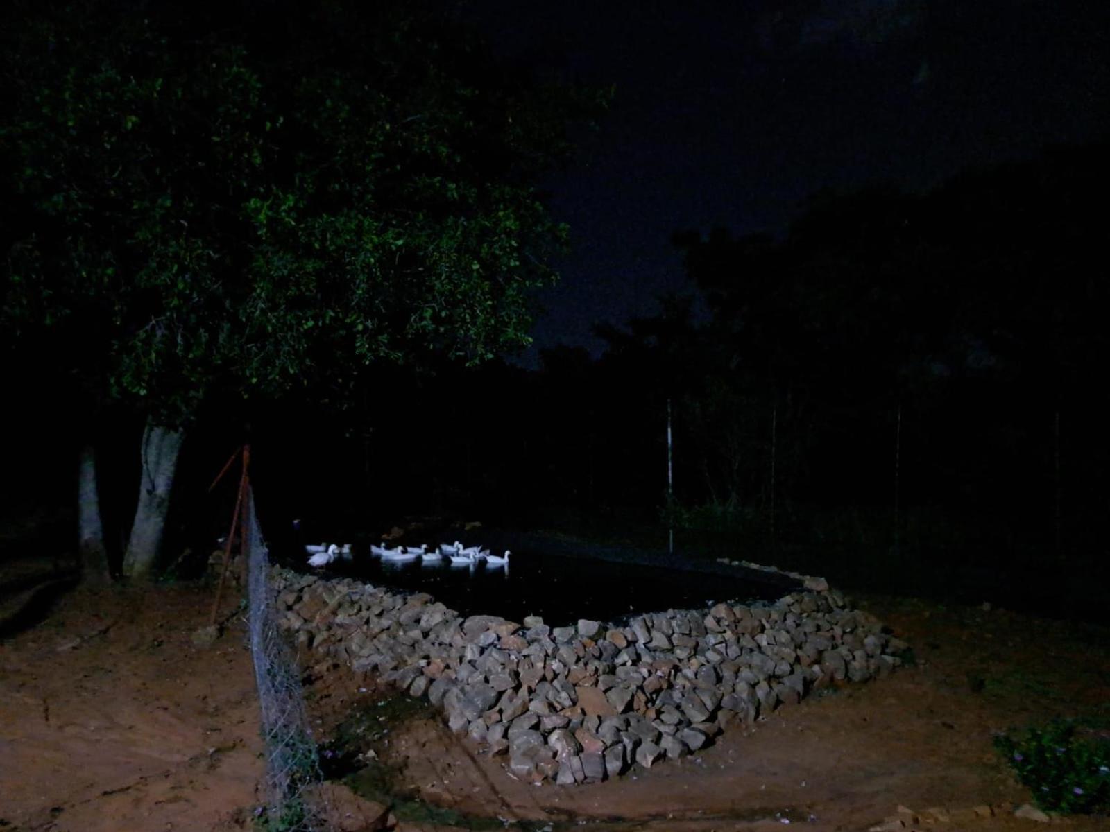 5 Sleeper Bushcamp Chalet Hartbeespoort Ngoại thất bức ảnh